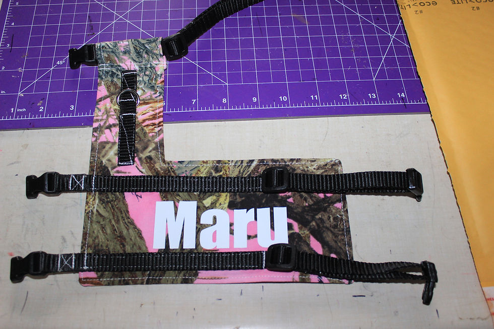 Thumbnail: Cat Walking Jackets - Harnesses