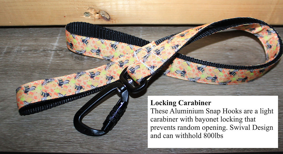 Thumbnail: Nylon Dog Leashes with Locking Carabiner Snap Hooks