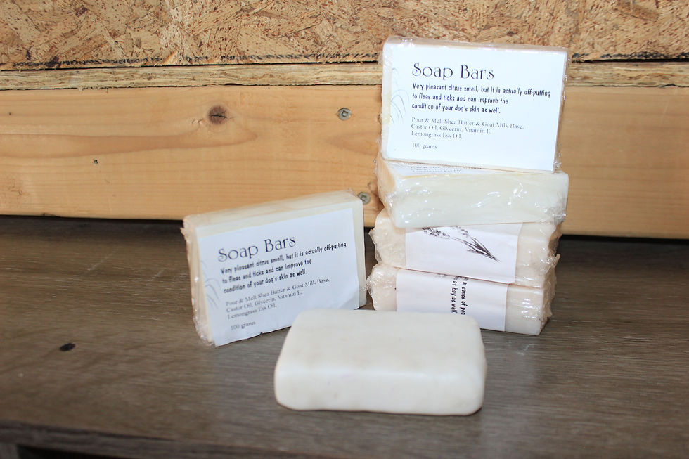 Dog Soap Bars