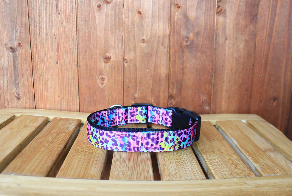 Thumbnail: Rainbow Leopard Plastic Buckle