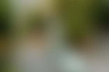 Outfits for Mastering Summer 2025 Airport Style