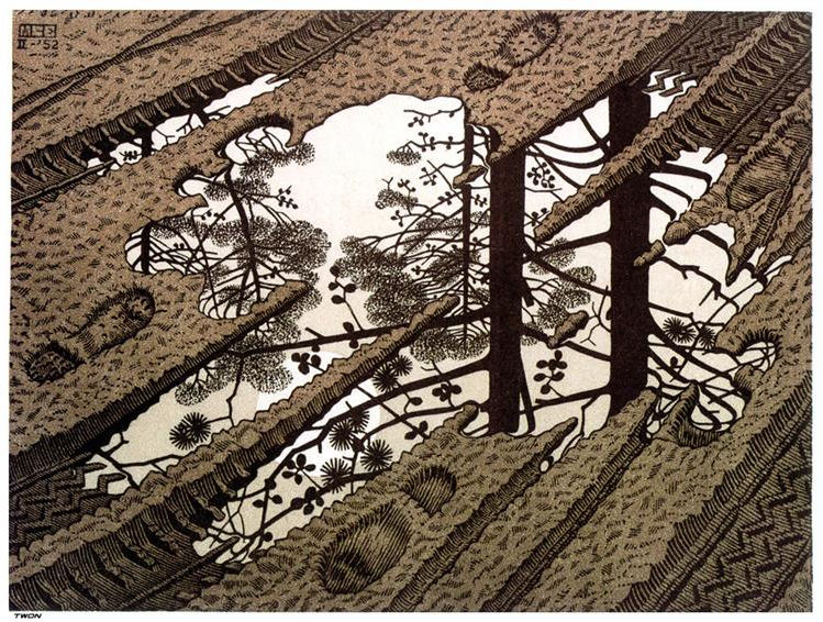 Escher12.jpg