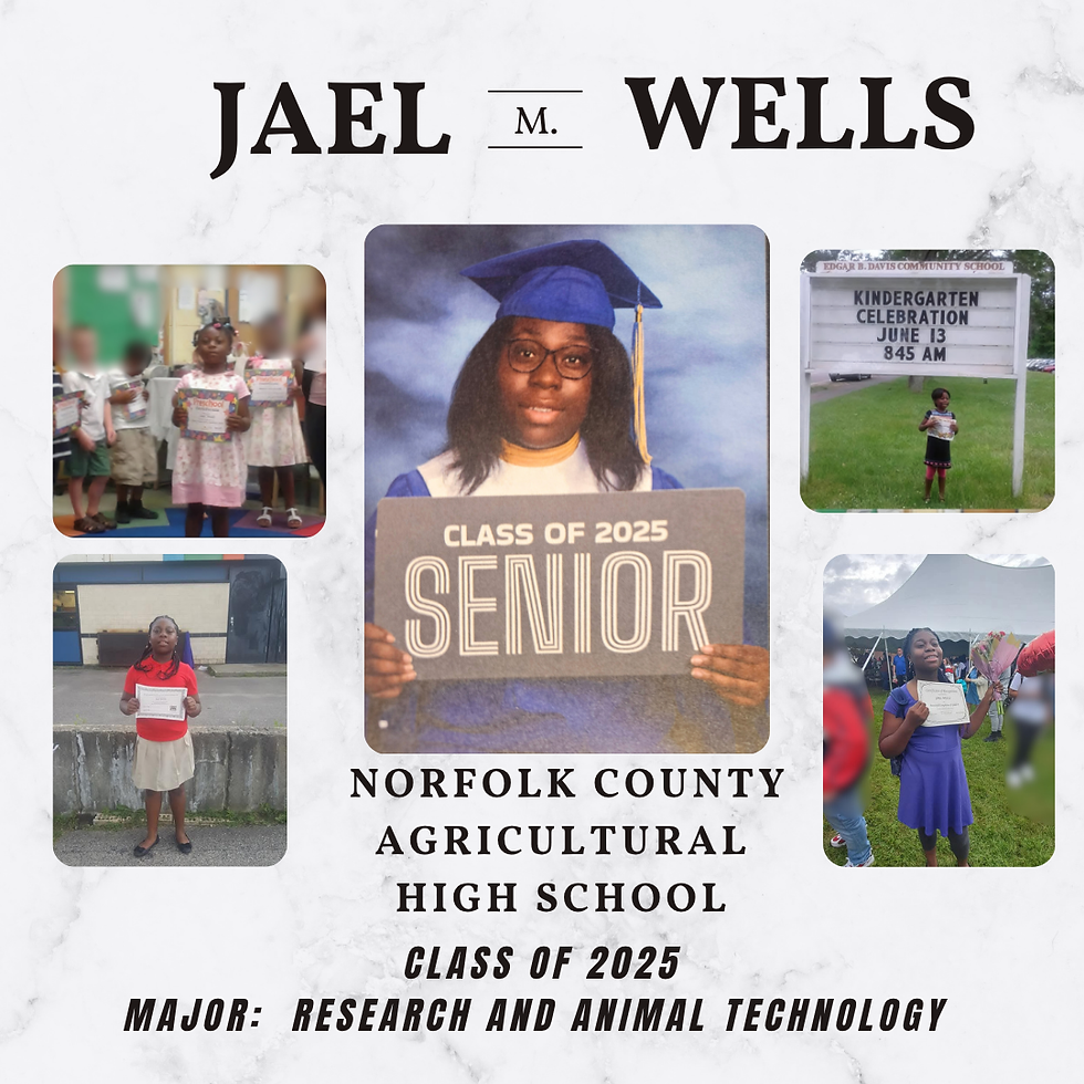 Jael's High School Graduation Celebration!