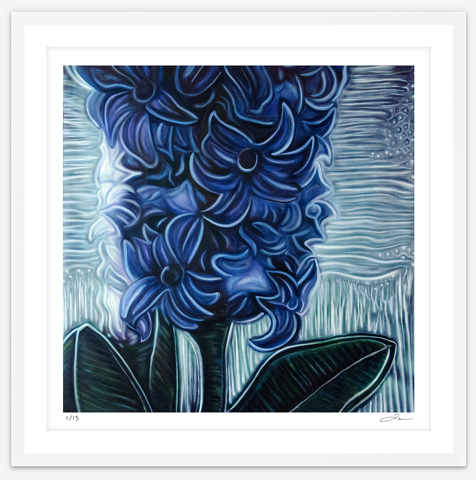 Blue Hyacinth