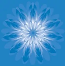 904ddb_d8a76c3bcfaa4360bfa26ed6ecf95c4b_