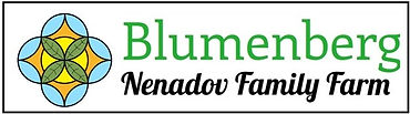 Blumenberg Logo 2.0.jpg