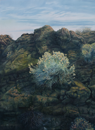 Cliff Dweller (Sold)