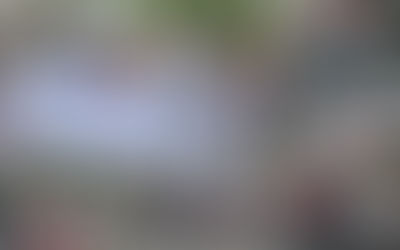 PAFCOM 2023 Parade & Festival