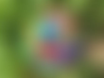 Tend to Your garden of Life.