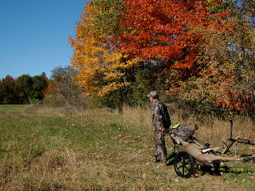 Time to Update Wisconsin’s Deer Season Schedule