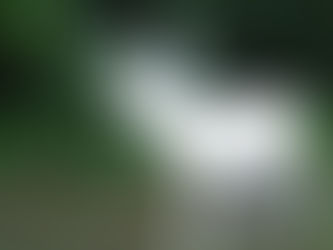 Wis. Conservation Hearings: Record Year for Resolutions