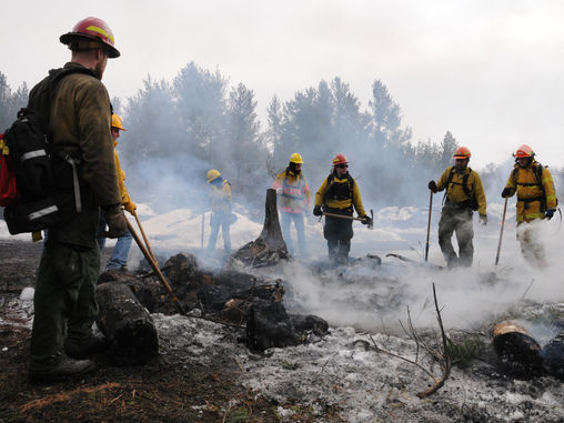 Over 80 DNR Jobs Vacant as State Navigates COVID-19