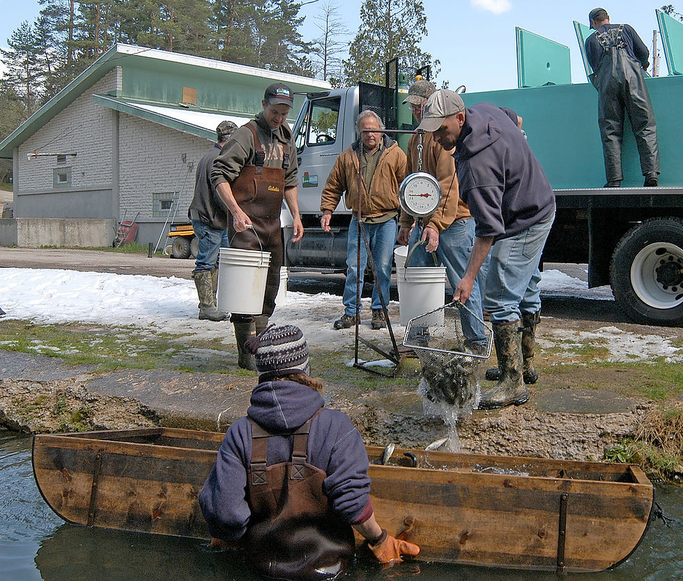 Voters at Wisconsin Hearings Support Higher Hunting, Fishing, Trapping Fees
