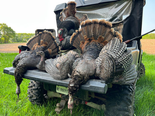 3-Year-Old Fired Shot that Wounds Two Wisconsin Turkey Hunters