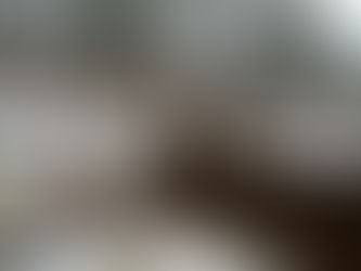 Study: Shooting More Rutting Bucks Reduces CWD