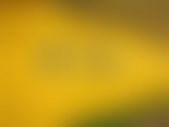 【零售客流】大型商場的客流需求層