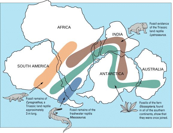 Snider-Pellegrini_Wegener_fossil_map-577