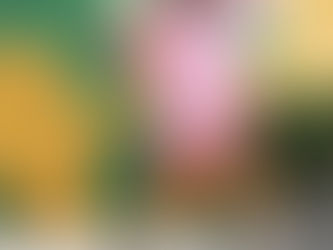 Fishing for Compliments