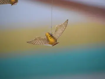 Glass Birds Annex