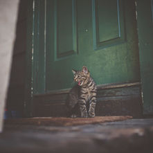 Five Free Fun Love Activities and Crafts