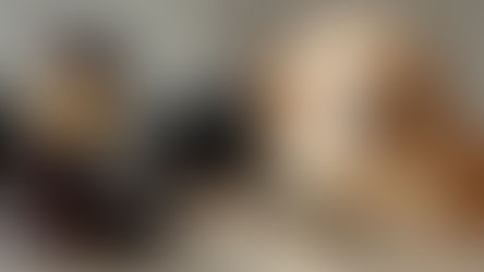 Votre chien cause un accident : que dit la Loi ? Qui payera les 20.000 € de dégâts ??