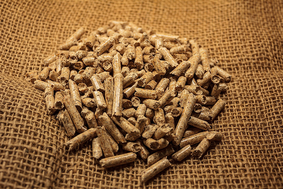 Wat zijn DIN plus pellets?