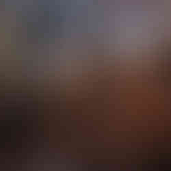 Bosco di Fonte romana nel foliage