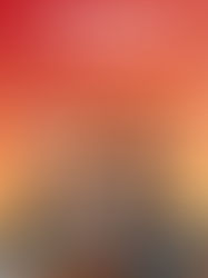 Agenda Cultural y Actividades de fin de semana.