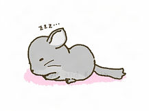 4 (5) - Cr.jpg