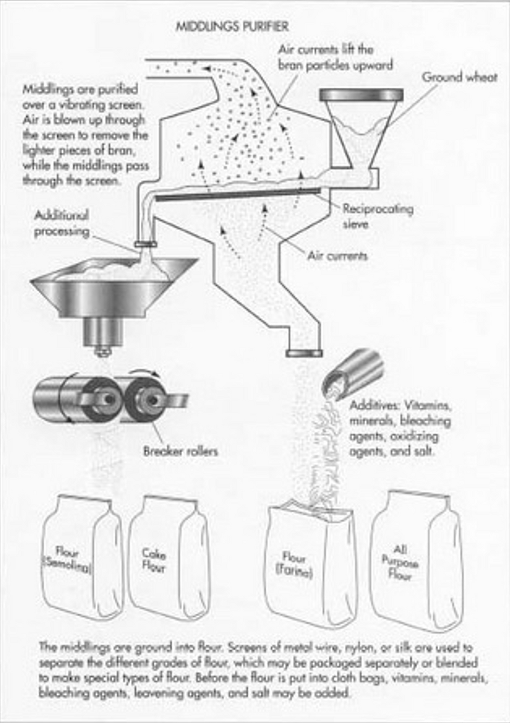 FLOUR MILL MILLING INDUSTRY