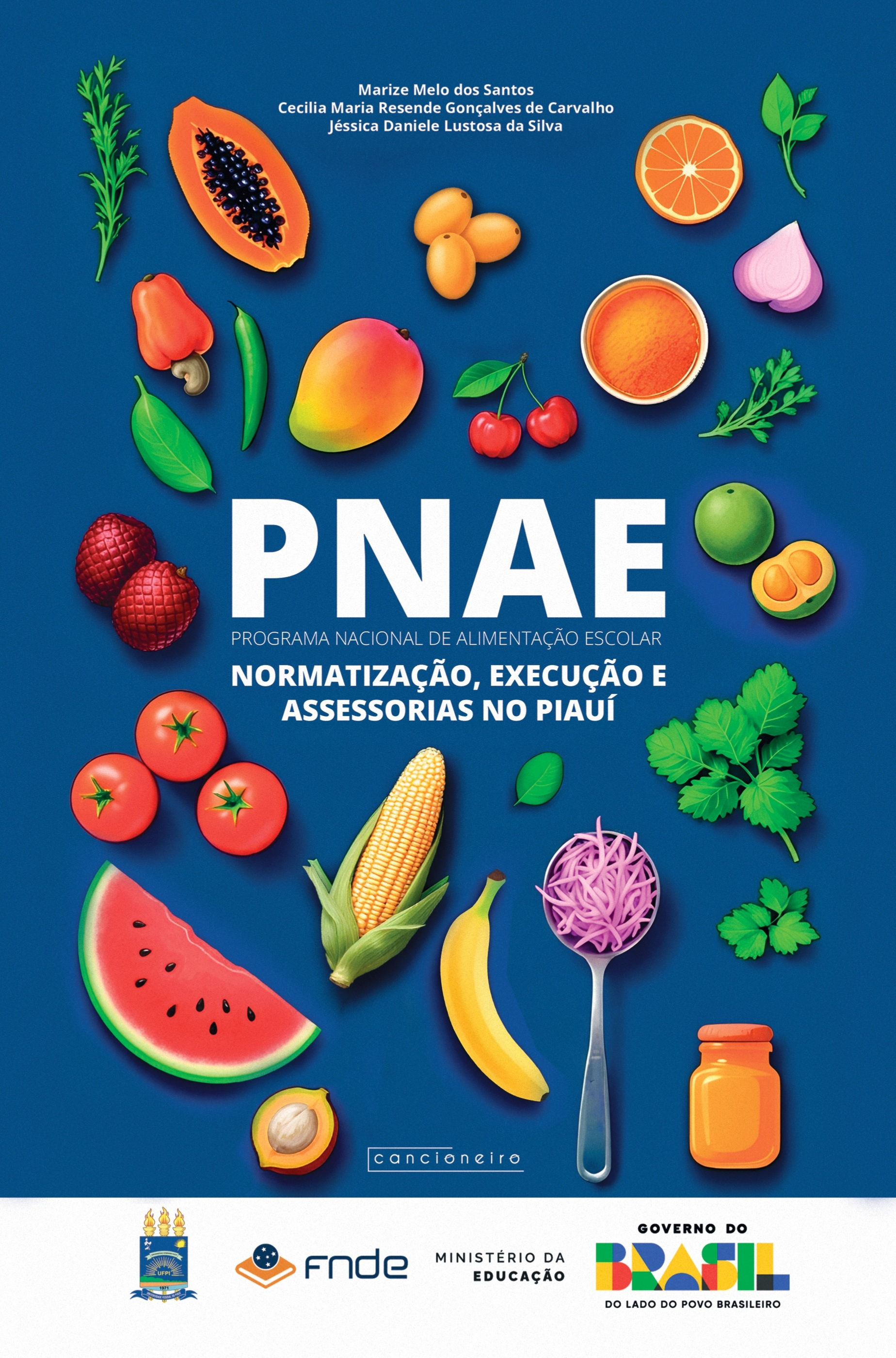 PNAE: normatização, execução e assessorias no Piauí