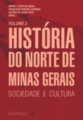 História do Norte de Minas Gerais: sociedade e cultura