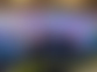 Mangrove for Coastal Resilience: CarbonEthics and Community Development Workshop