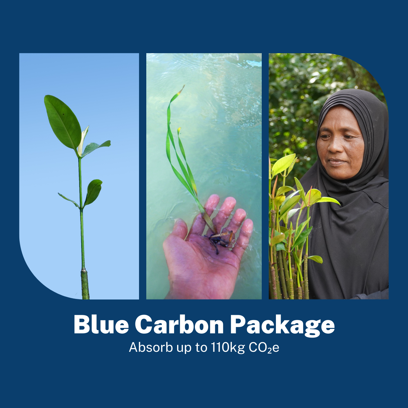 Blue Carbon Package