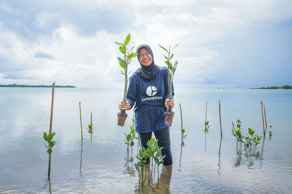 Why We Should Give Back to Mother Earth During Ramadan