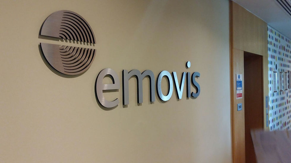 3D lettering - Emovis