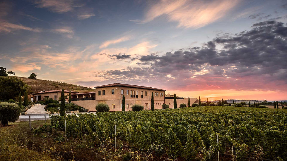 Meet the Winzer - Monteverro großer Wein der Maremma