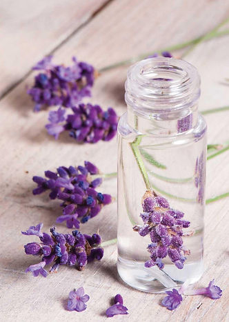 decoracao-receber-flores-lavanda-arranjo
