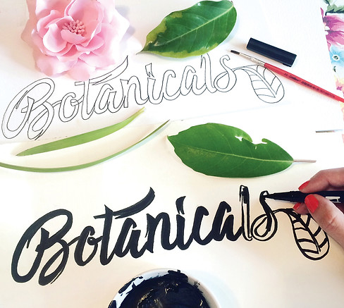 botanicals-processo-criativo.jpg