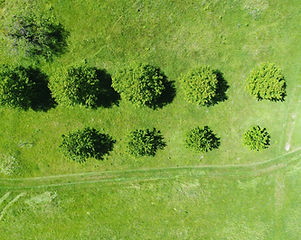 Field from Above