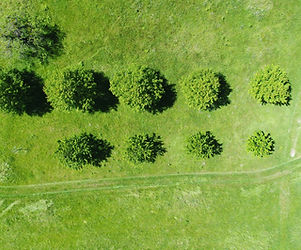 Field from Above