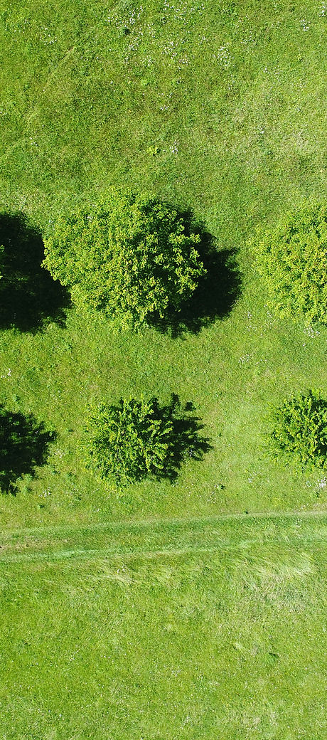 Field from Above