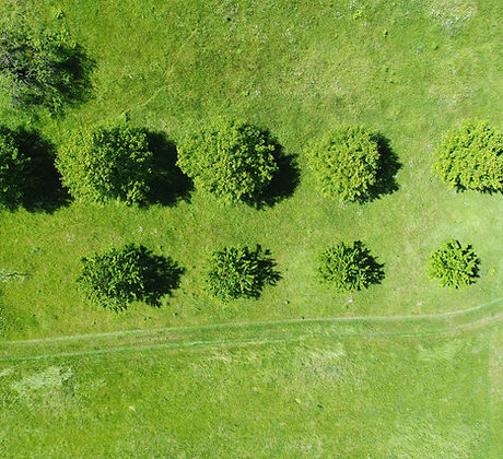 Field from Above