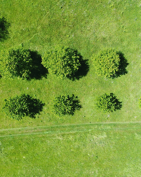 Field from Above