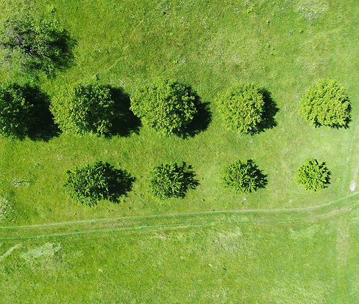 Field from Above