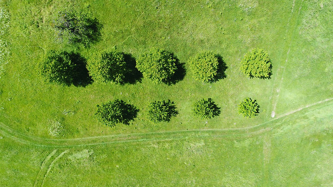 Field from Above