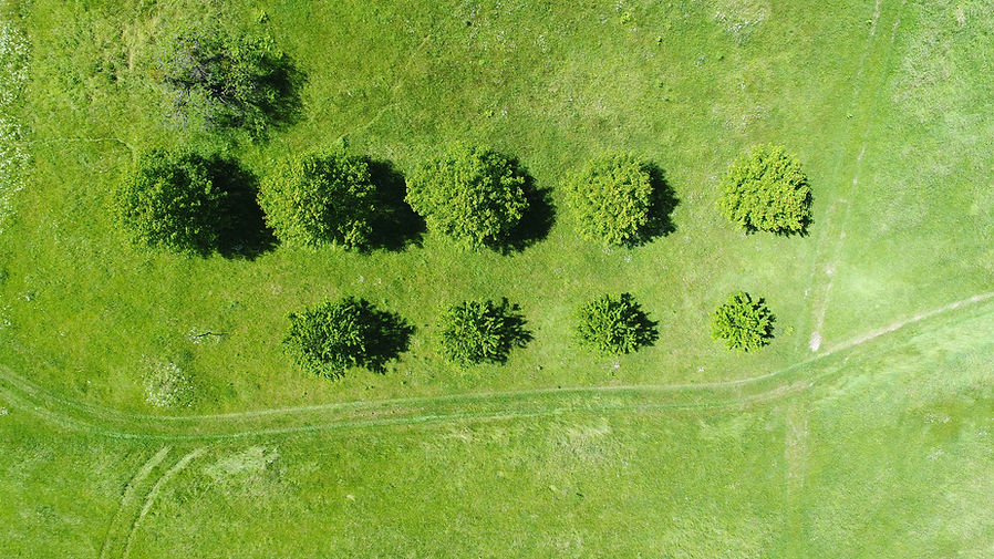 Field from Above