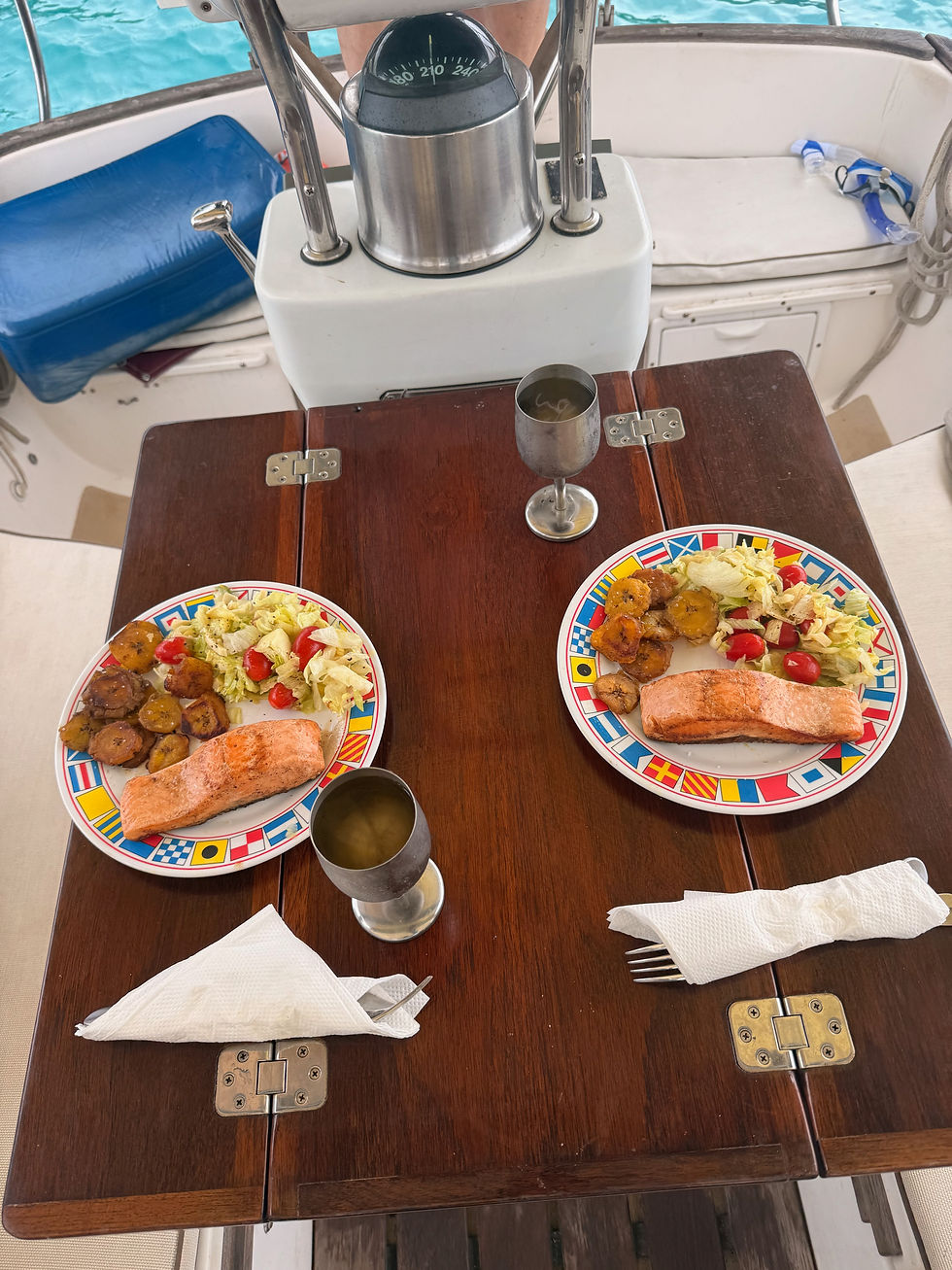 Dein privater Segelausflug in La Romana zur Isla Catalina oder Saona 