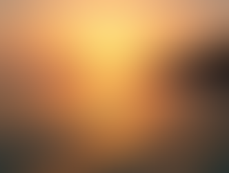 Heiratsantrag auf einer Segelyacht auf Mallorca – Hier hat noch jede Ja gesagt