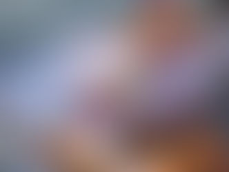 SPA Urlaub auf Segelyacht in Mallorca